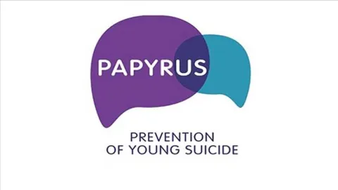 An image of the Papyrus logo